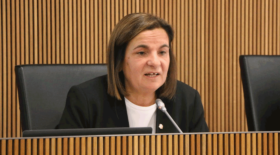 La ministra d'Afers Socials i Funció Pública, Trini Marín, en la seva intervenció al Consell General