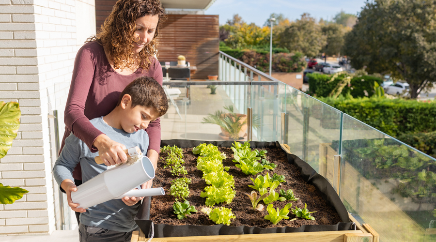Una mare i el seu fill regant enciams plantats a la terrassa de casa