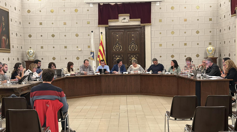 Un ple de l'Ajuntament de la Seu d'Urgell
