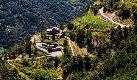 Vinyes en territori andorrà