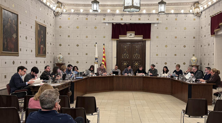 Un ple de l'Ajuntament de la Seu d'Urgell (arxiu / RàdioSeu)