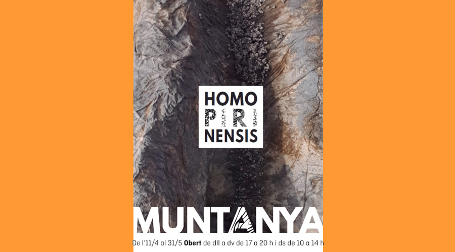 Cartell anunciador de l'exposició "Muntanya" (Aj. la Seu)