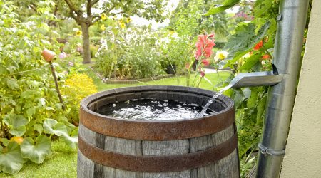 Aprofitar l'aigua de pluja és una acció sostenible a l'abast de tothom