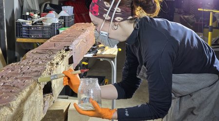 La conservadora i restauradora de béns culturals, Marta Prunera, tenint cura de la biga
