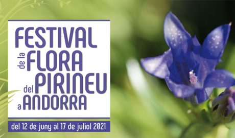 Part del cartell del Festival de la Flora del Pirineu