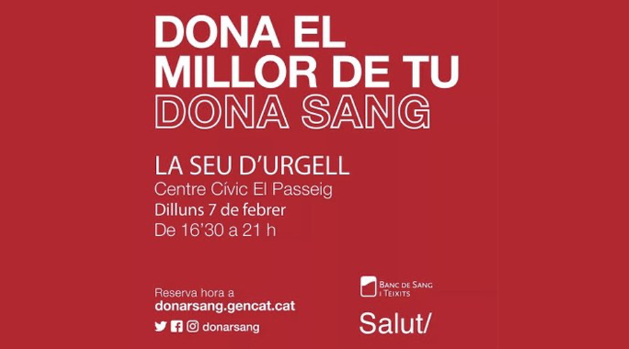 Campanya de donació de sang a la Seu