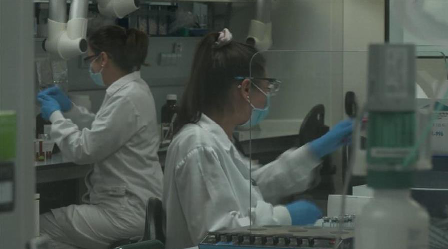 Dues tècniques de laboratori fent proves