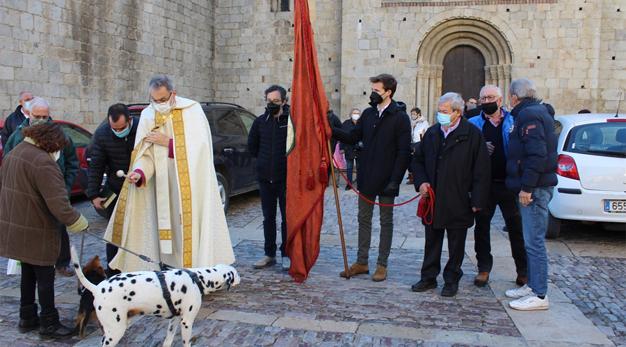 Benedicció dels animals amb motiu de la Festivitat de Sant Antoni 