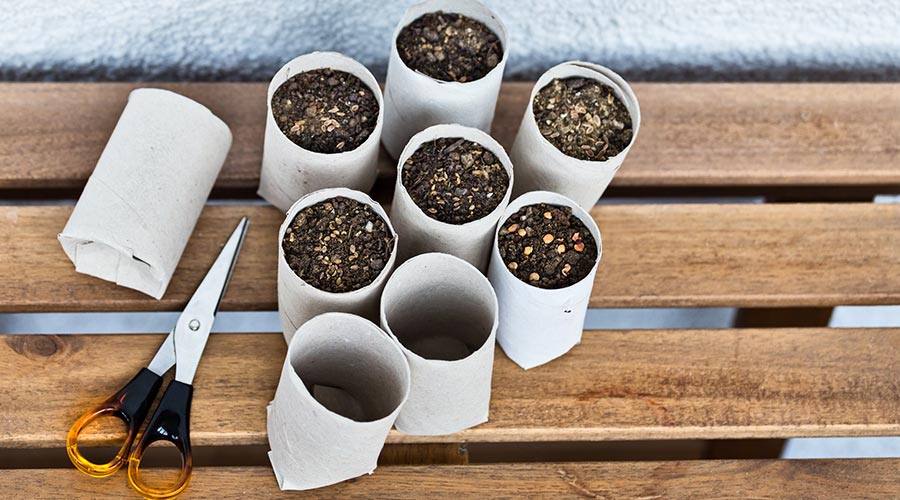 Planters casolans
