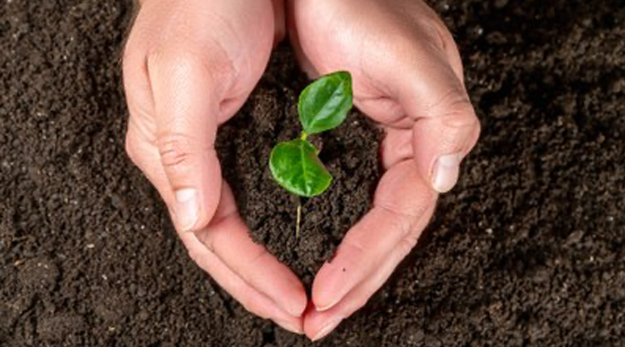 Compost de l'Urgellet