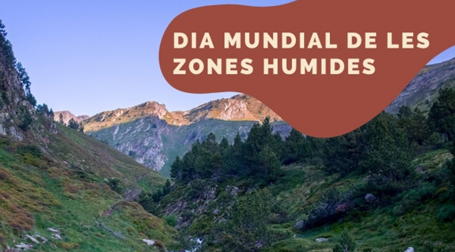 Dia mundial de les zones humides