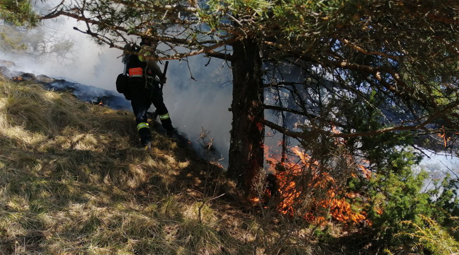 Incendi de vegetació a Ars