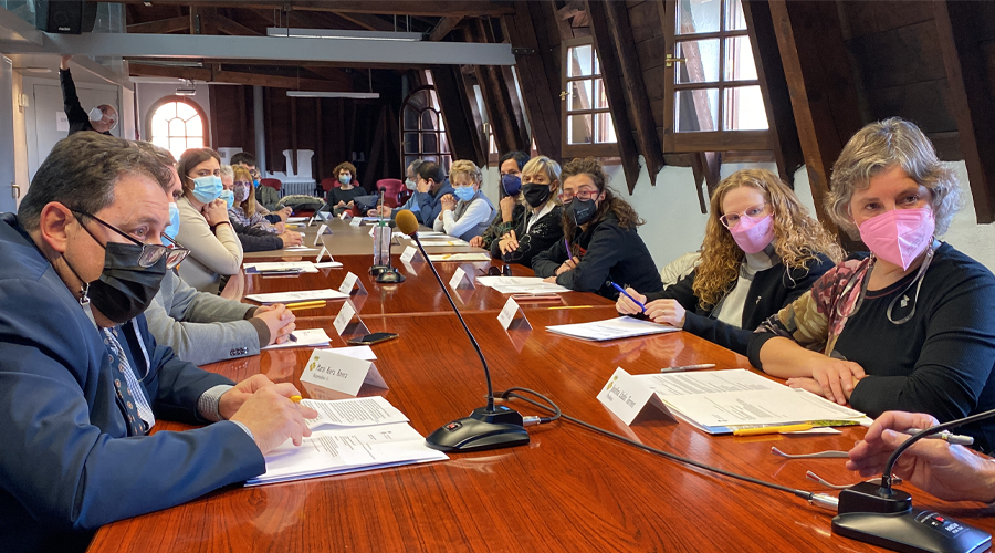Ple del Consell Comarcal de l'Alt Urgell