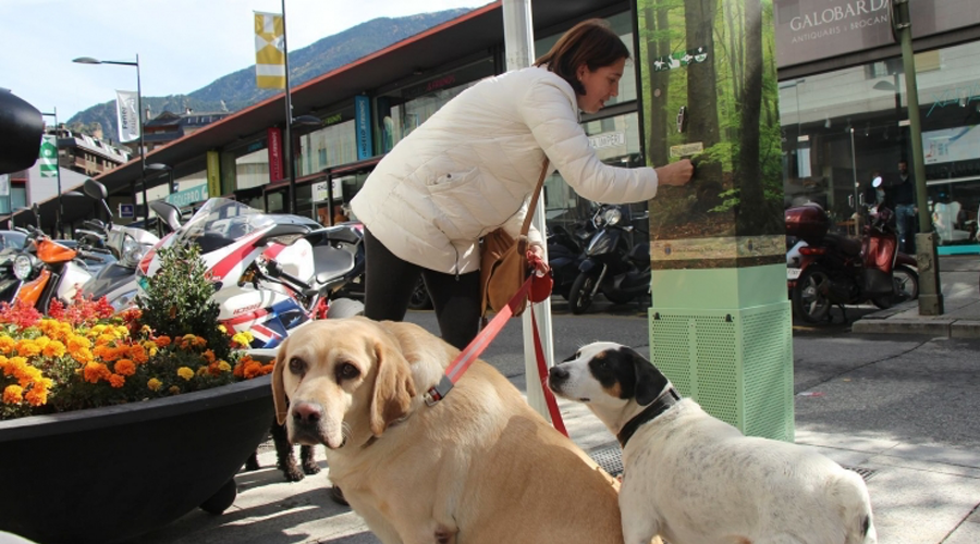 Una dona amb dos gossos