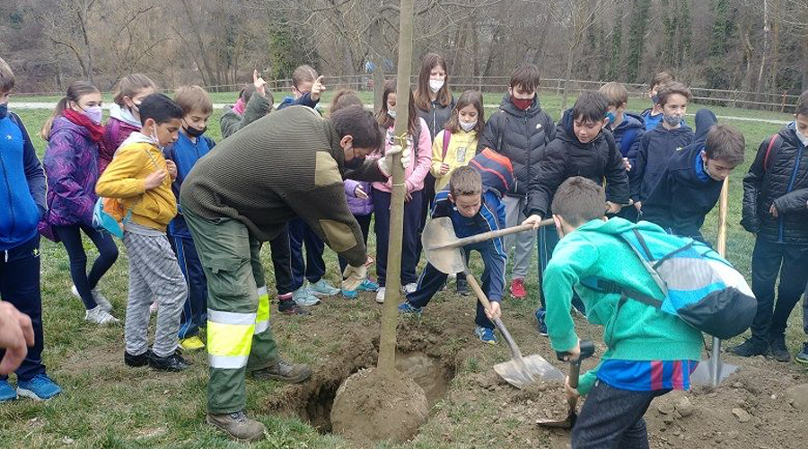 Escolars de la Seu i Castellciutat plantant un arbre