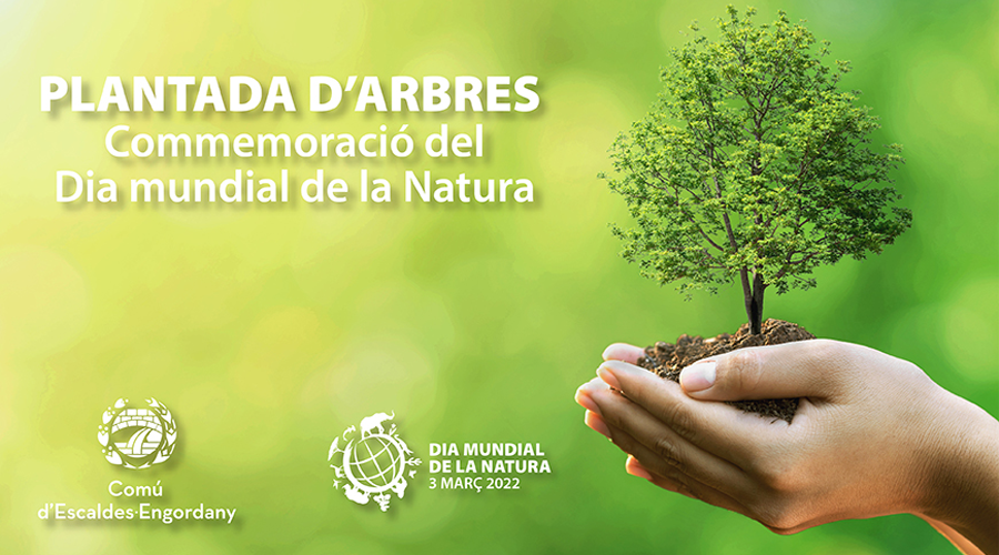 Plantada d'arbres pel Dia Mundial de la Natura