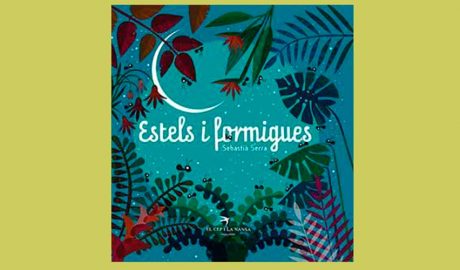 Coberta d'Estels i formigues