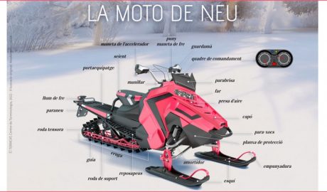 Infografia amb vocabulari sobre la moto de neu