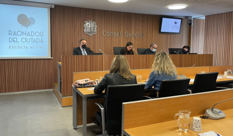 Compareixença del Raonador del Ciutadà, Marc Vila