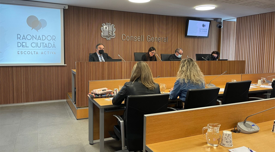 Compareixença del Raonador del Ciutadà, Marc Vila