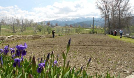 Horts per a la gent gran de la Seu d'Urgell