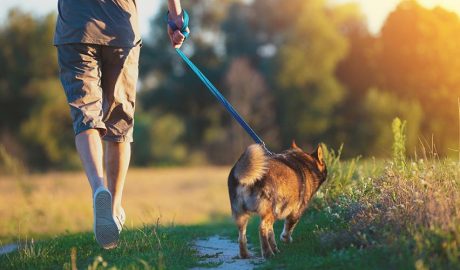 Persona passejant un gos