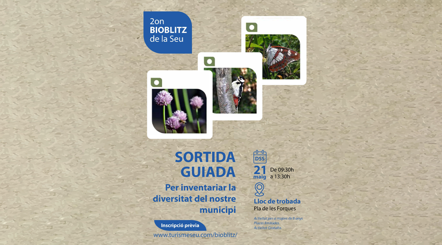 Segon BioBlitz de la Seu d'Urgell