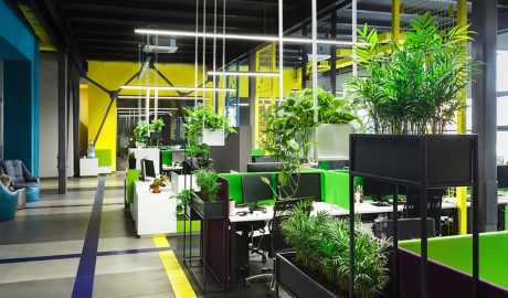 oficina amb plantes