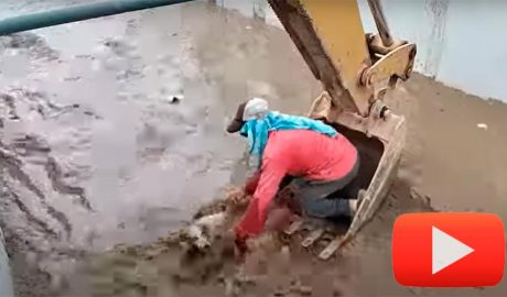 rescat d'un gos amb una excavadora