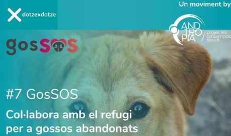 Es presenta la nova iniciativa solidària “dotzexdotze”