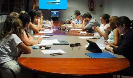 El Consell Comarcal de l'Alt Urgell aprova el finançament de la passera de l'N-260 a la Seu d'Urgell