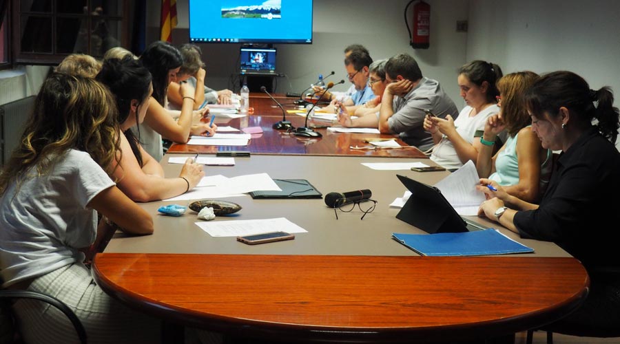 El Consell Comarcal de l'Alt Urgell aprova el finançament de la passera de l'N-260 a la Seu d'Urgell