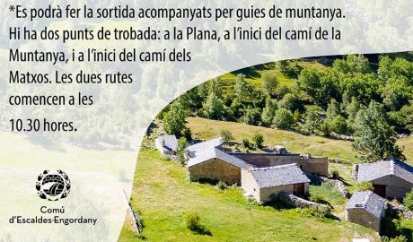 cartell de la festa d'inauguració a Ràmio