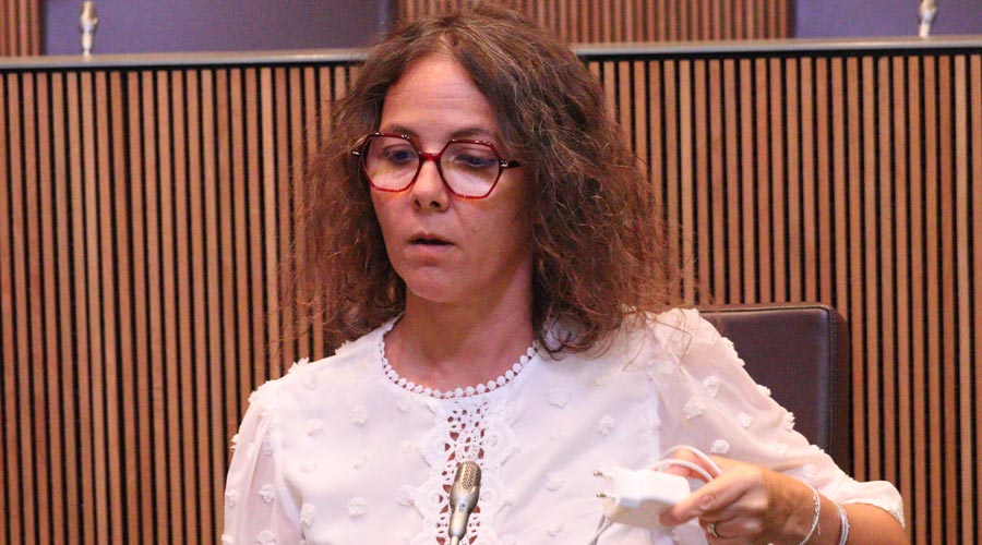 La consellera general del PS, Judith Salazar, pregunta qui conforma el comitè d'empresa de RTVA