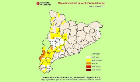 La Seu celebrarà la Nit de Sant Joan amb foguera però es demana extremar les precaucions