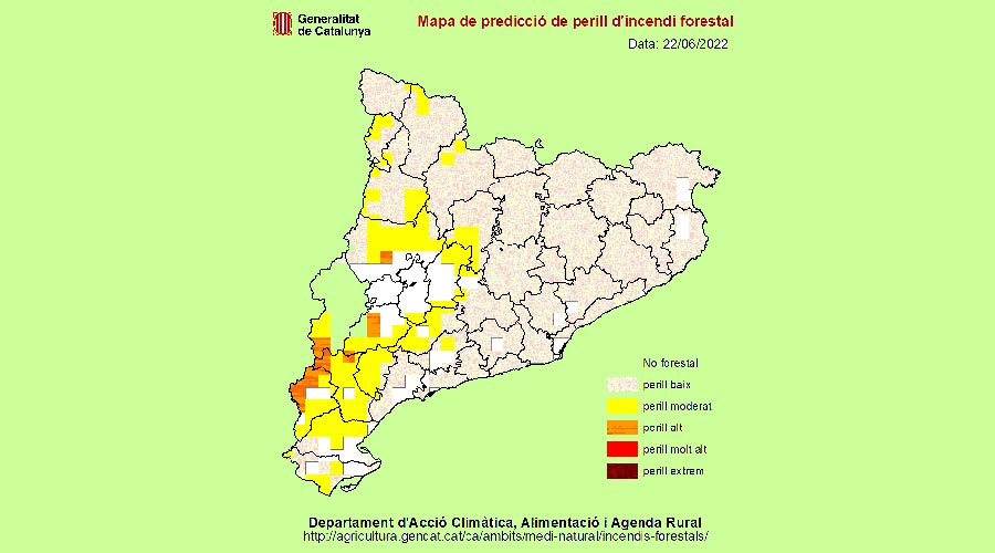 La Seu celebrarà la Nit de Sant Joan amb foguera però es demana extremar les precaucions