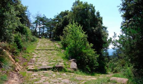 via romana de Sant Pau de Segúries