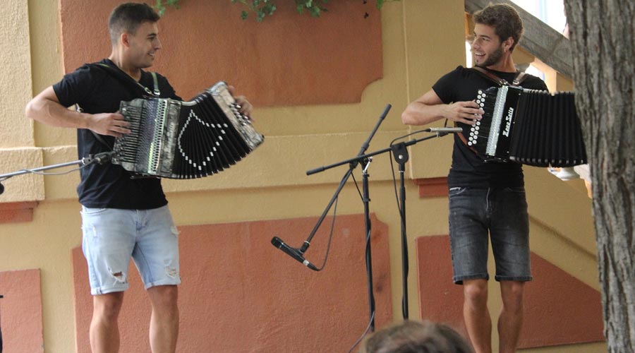 Acordionistes a la trobada de la Seu