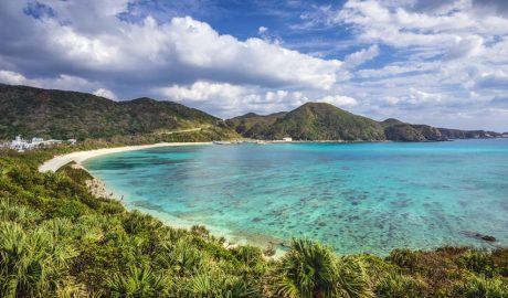 Coneguem la dieta Okinawa, o la dieta que allarga la vida