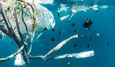 Plàstics al mar