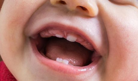 L'aparició de les primeres dents