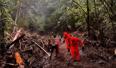Tasques de neteja al torrent de Prat de la Solana