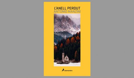 Coberta del llibre L'anell perdut