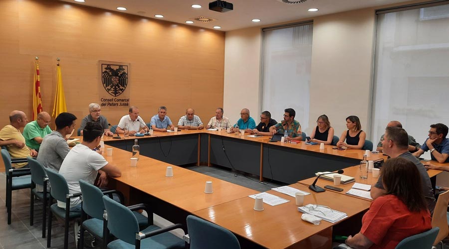 Plenari del Consell Comarcal del Pallars Jussà