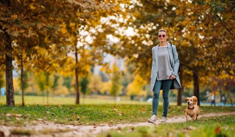 Dona passejant un gos