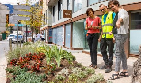 Enjardinament de l'avinguda del Fener