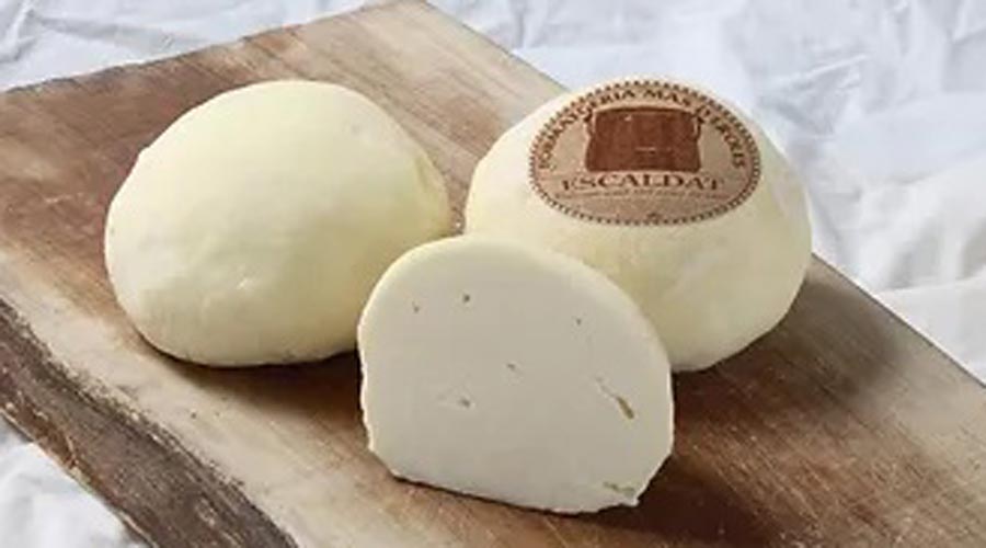 Formatges escaldats
