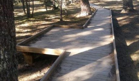 Una passera a Sant Joan de l'Erm