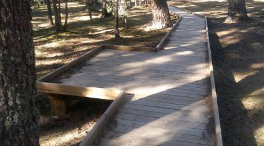 Una passera a Sant Joan de l'Erm