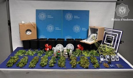 Incautació de marihuana per part de la Policia